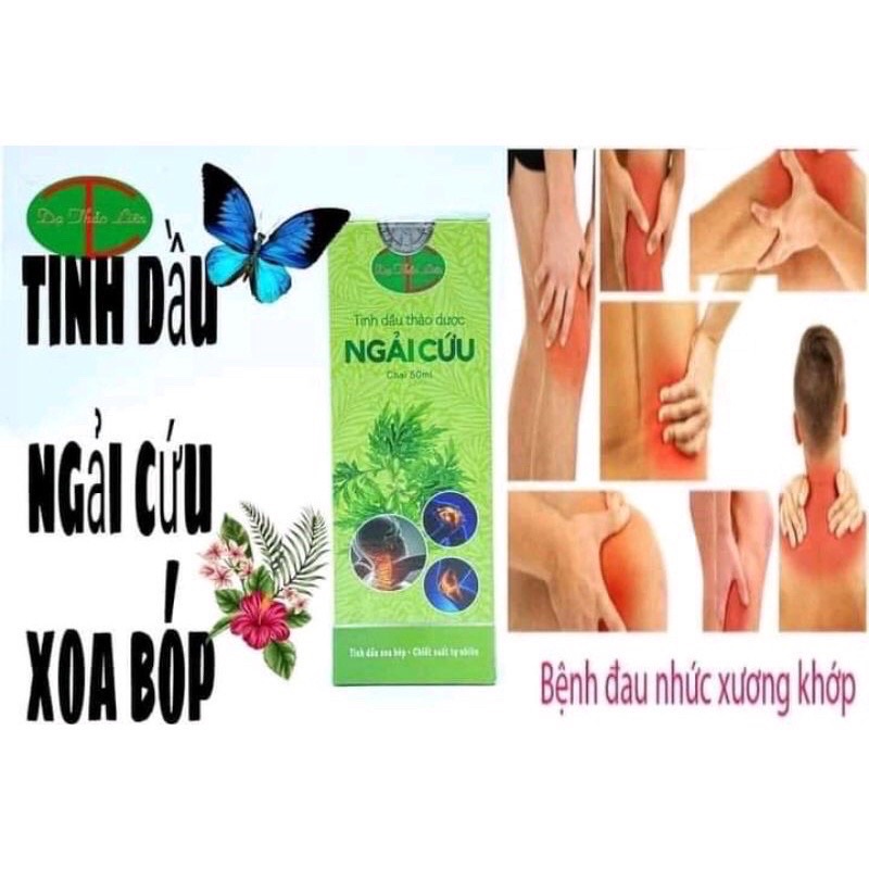 Tinh dầu ngải cứu Dạ Thảo Liên 50ml