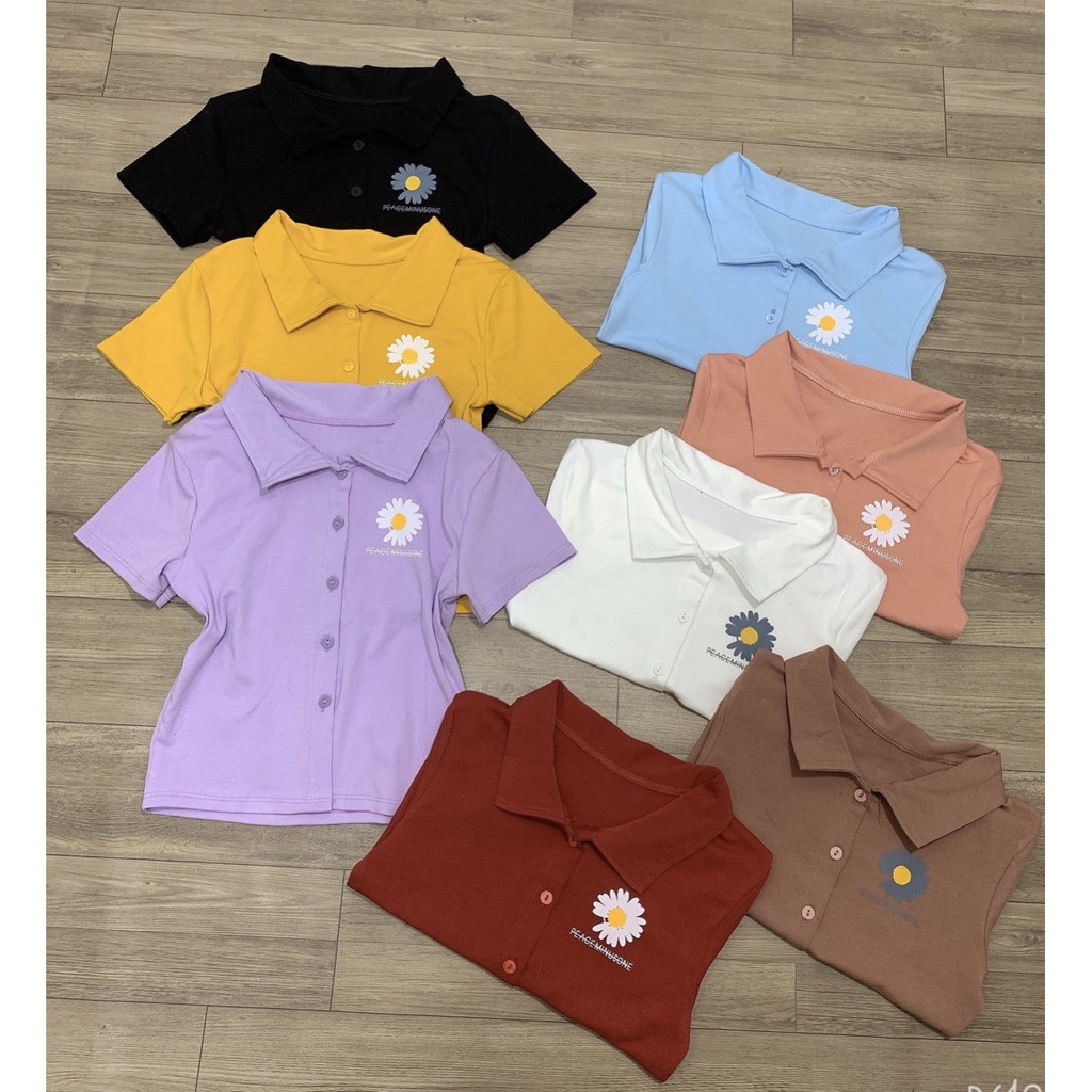 Áo croptop polo thêu hoa cúc xinh cái nút dễ thương xinh