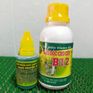Combo chế phẩm Hùng Nguyễn – Đà Lạt & B12- giải độc,  chống sốc cây