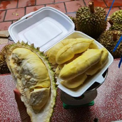 1kg Cơm Sầu Riêng Thái Monthong Miền Tây