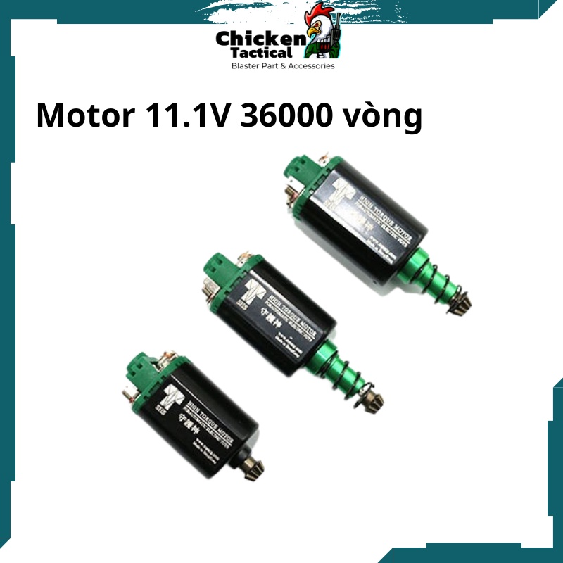 Motor SHS xanh 460/480 trục ngắn và dài 36000v