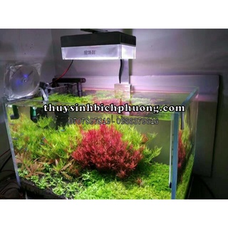 ĐÈN THỦY SINH NETLEA AT3 PRO CAO CẤP BẢO HÀNH CHÍNH HÃNG 1 NĂM