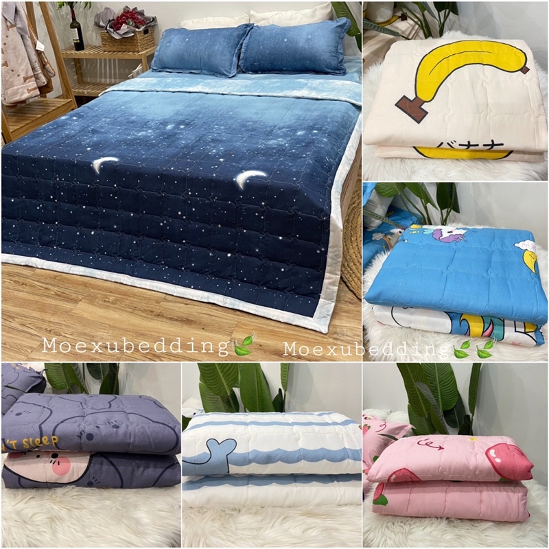 Chăn hè 3 lớp cotton đũi poly mềm mịn mát 1m9x2m1 hoạ tiết đáng yêu dùng cho mùa xuân hạ thu