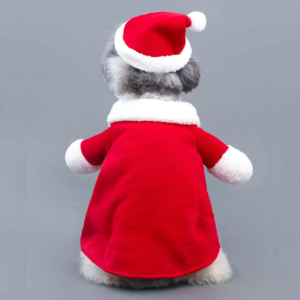 Trang phục hóa trang ông già noel cho thú cưng