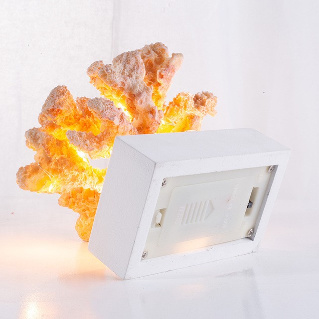 Mô hình san hô mini trang trí có đế đèn LED 12cm  - Decor đồ trang trí theo phong cách biển Địa Trung Hải