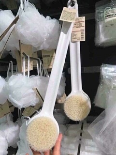 CỌ LƯNG MUJI NHẬT