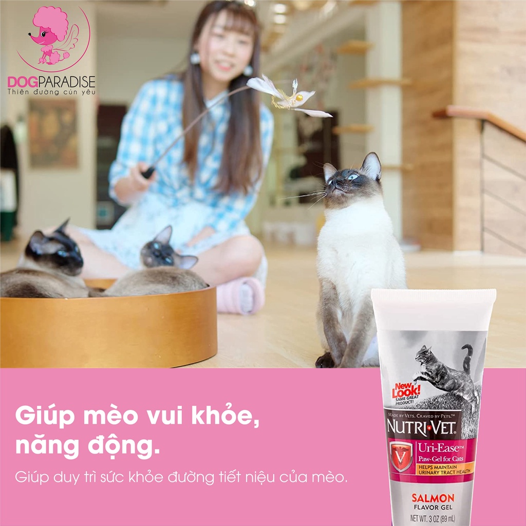 Gel dinh dưỡng hỗ trợ đường tiết niệu cho mèo vị cá hồi NUTRI VET - Dog Paradise