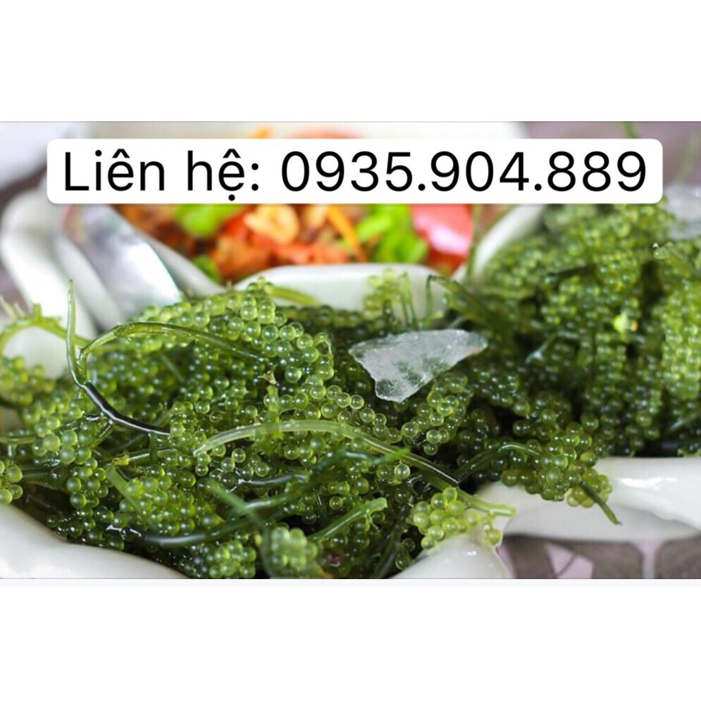 Sỉ 2kg rong nho tách nước | rong nho khô + nước sốt mè rang