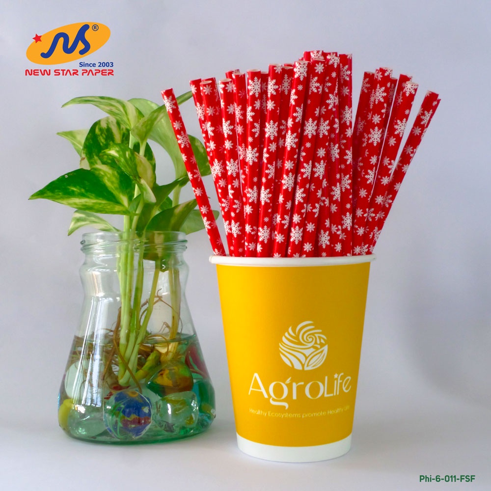 Phi 6 - Hộp 250 ống hút giấy làm từ sợi mía