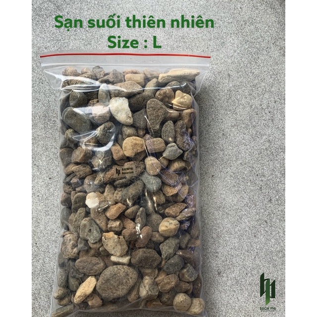 SẠN SUỐI THIÊN NHIÊN SIZE L
