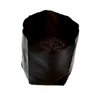 TÚI BẦU ƯƠM CÂY GIỐNG (12 x 14cm) 1kg