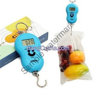 Cân điện tử 40kg cầm tay mini