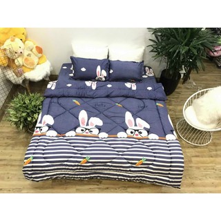 Bộ gra giường 3 món ( 1 gra + 2 vỏ gối nằm)