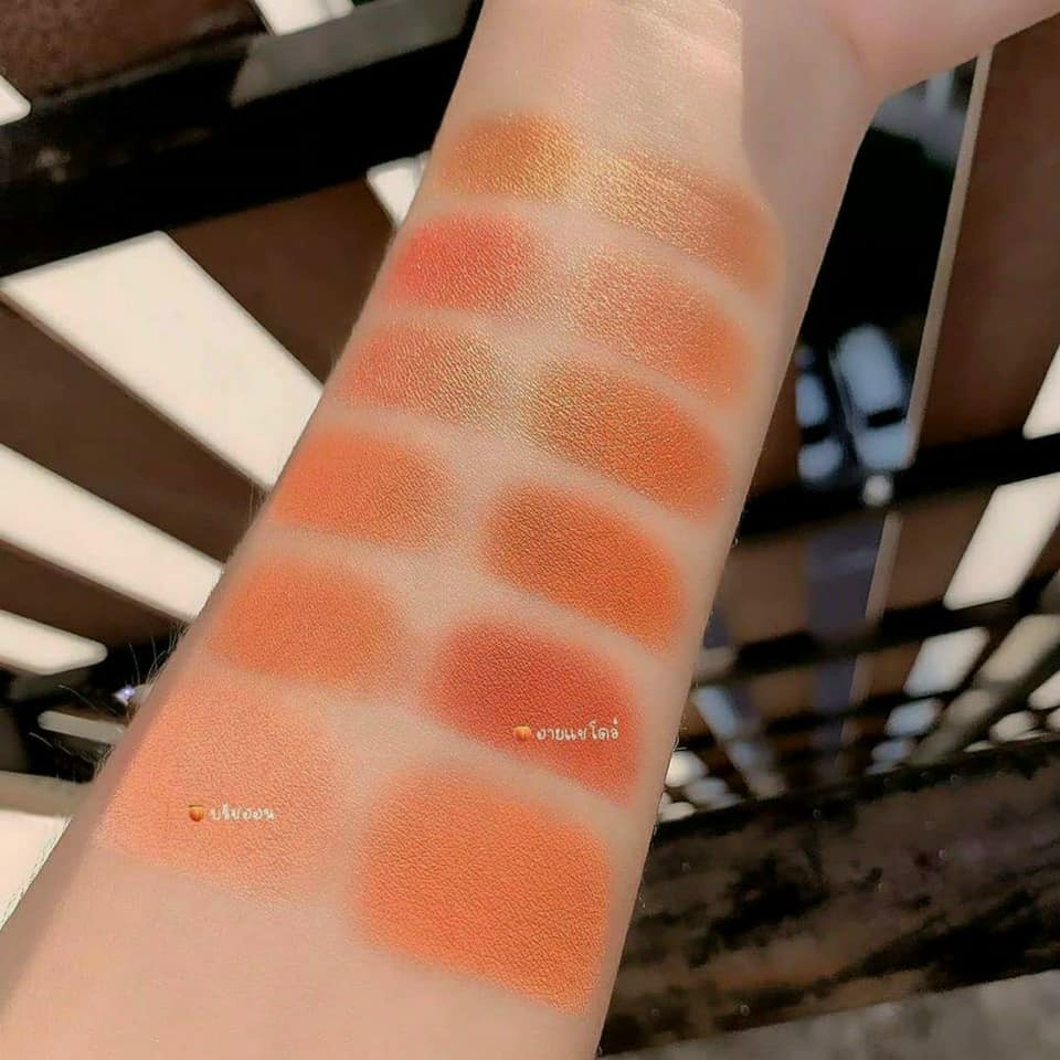 Bộ Trang Điểm Ví Makeup PEACH MILA COLOR Trúc Cosmetics | BigBuy360 - bigbuy360.vn