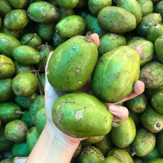 Cóc già chưa gọt 1kg