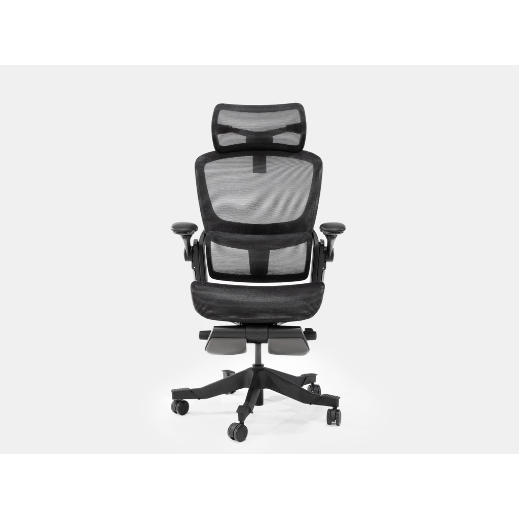 Ghế công thái học Epione Easy Chair - Hàng chính hãng