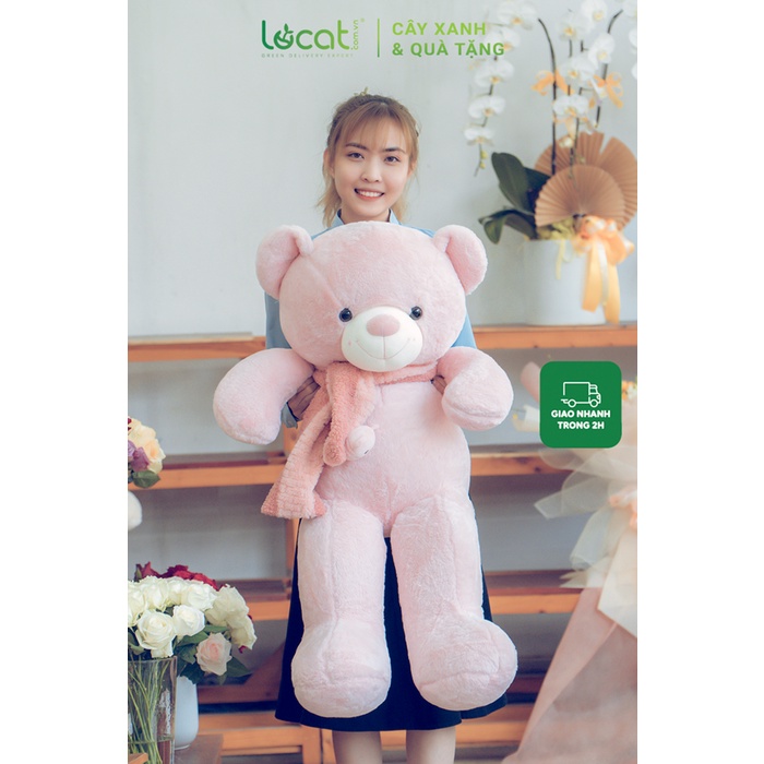 Gấu bông size lớn teddy hồng khăn mặt gấu, thú nhồi bông cỡ to làm quà tặng sinh nhật dễ thương