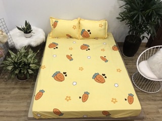 Ga chống thấm cotton 2 in 1