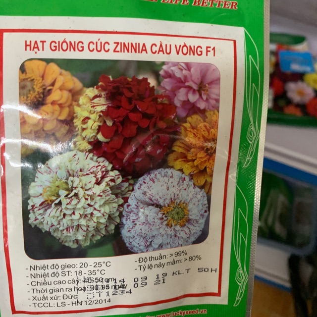 Cúc zinnia cầu vồng LUCKY SEEDS