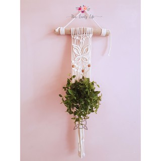 Mành dây macrame treo chậu cây