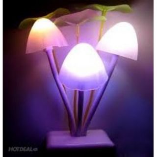 Đèn ngủ hình cây nấm
