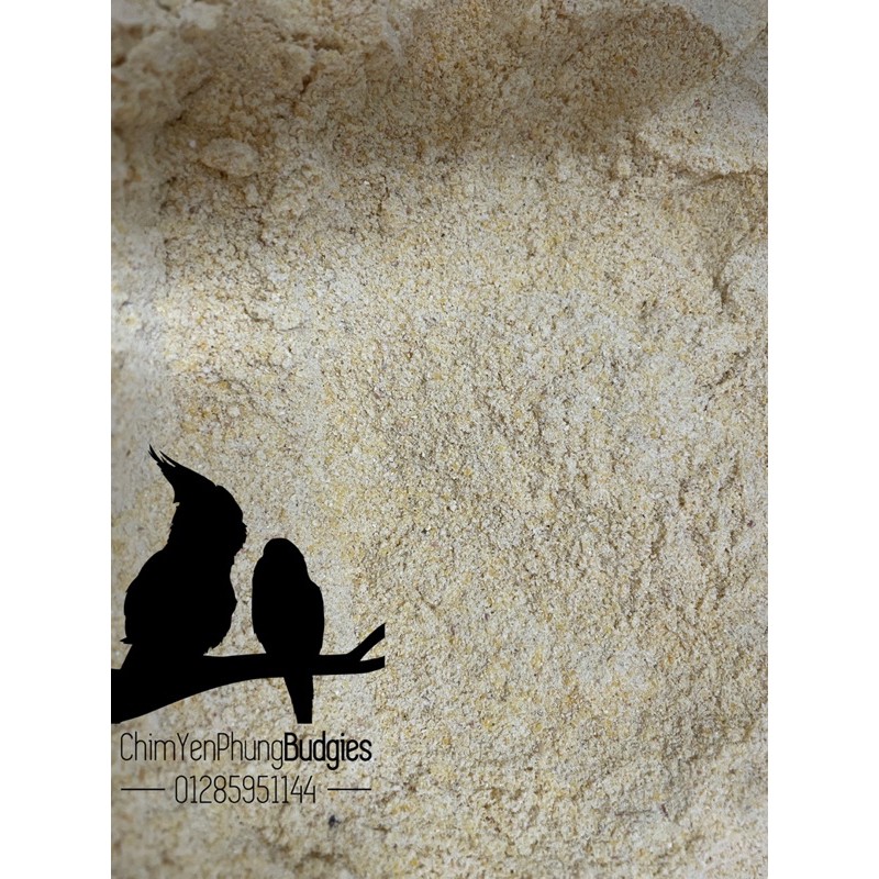 1kg cám bắp cho gà con cám bắp xay cho gà bắp cho chim cút con bắp xay bột cho chim cút