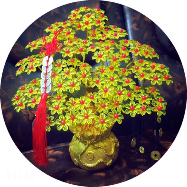Combo hoa tai loc