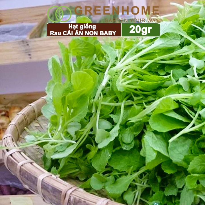 Hạt giống rau Cải ăn non Greenhome, gói 20g, dễ trồng, thu hoạch nhanh R05