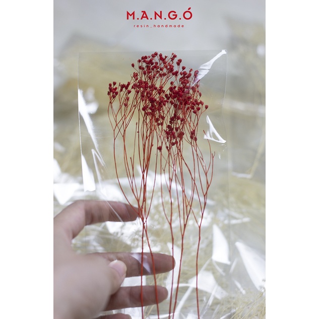 Hoa bloom khô trang trí resin, thiệp, nến thơm, handmade