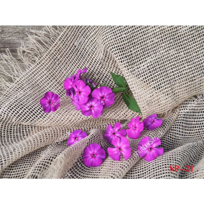 Phông Nền Chụp Mỹ Phẩm Phụ Kiện Quần Áo Xinh 5D