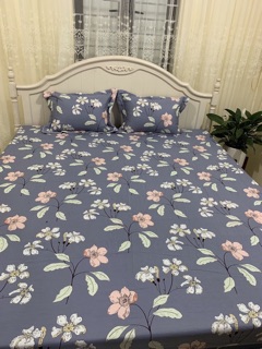 Bộ ga gối cotton Hàn Quốc