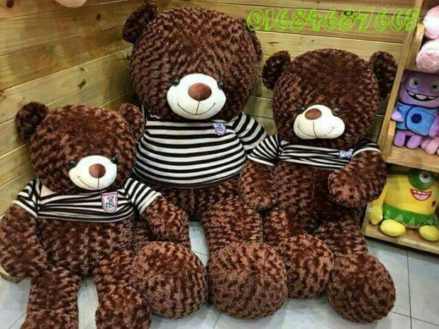 Gấu teddy ao len . Gấu Brown giá siêu hot