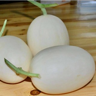 Hạt giống Dưa Lê Trứng F1 Nhập khẩu - 30 hạt - Nảy mầm 85%