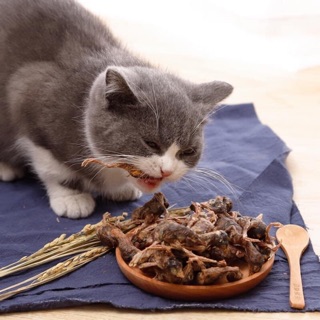 CHIM CÚT SẤY KHÔ CHO CÚN (tầm 70 con)