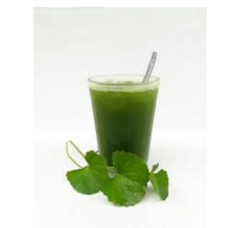 1KG BỘT RAU MÁ NGUYÊN CHẤT 100%