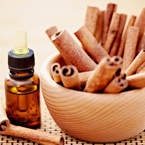 Tinh dầu quế nguyên chất ( Cinnamon Essential Oil ) GUTY