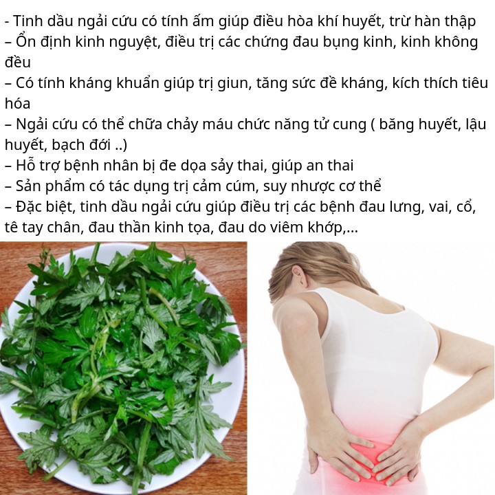 Tinh dầu nguyên chất ngải cứu BBW 10ml