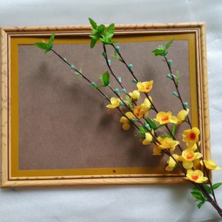 Khung ảnh/giấy khen khổ A3/A4