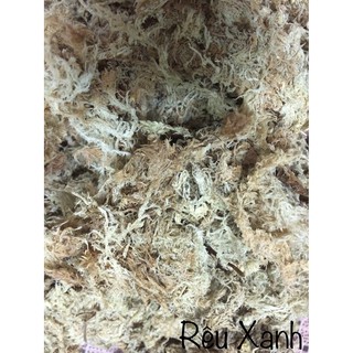 Dớn trắng, dớn mềm hay Sphagnum moss