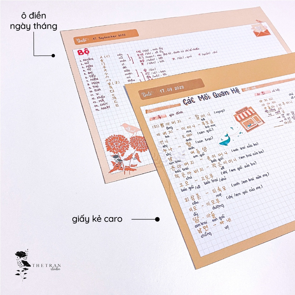 bộ 10 tờ giấy ghi chép kẻ caro - A4, B5, A5, A6 - dọc, ngang cổ điển / classic notepad / thetranstudio