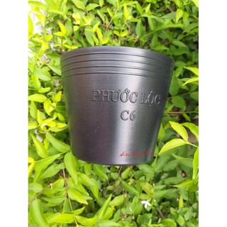 Chậu nhựa đen C6