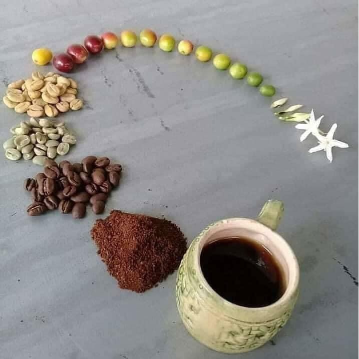 MÃ GIẢM GIÁ 30K Cafe arabica nguyên chất rang mộc túi 250g ARABICA | BigBuy360 - bigbuy360.vn