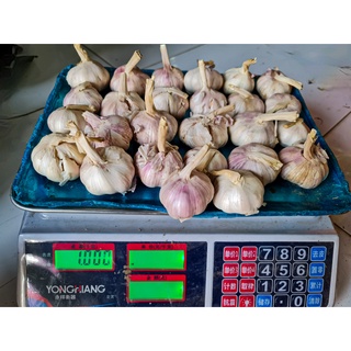 Tỏi củ 1kg