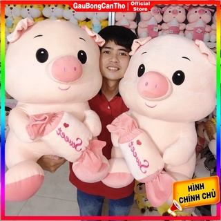 Gấu Bông Heo Ôm Kẹo hàng miniso mềm mịn