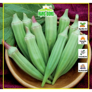 Hạt Giống Đậu Bắp Xanh Cao Sản, Trái Dài, Giòn - Gói 20 Gram