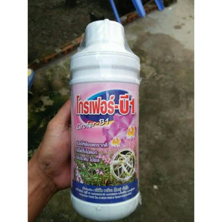Phân bón B1 - Thái Lan 1000ml