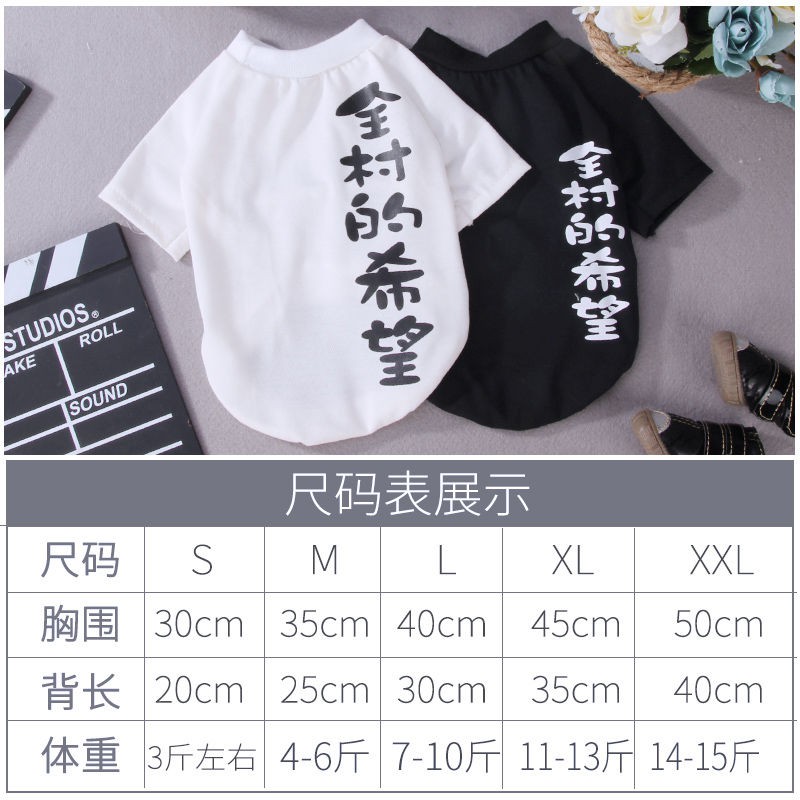 quần áo mèo con cưng mùa xuân và hè phông mỏng dễ thương thu màu xanh lam Anh trắng