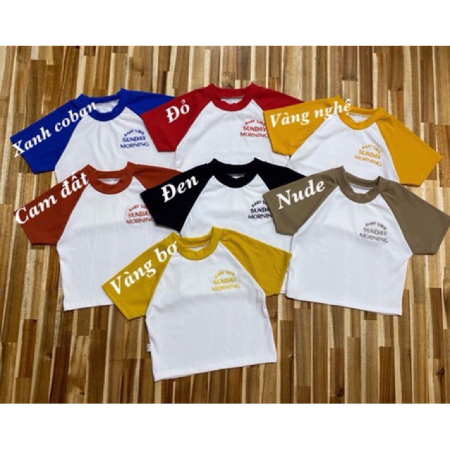 Áo thun croptop thêu chữ tay phối màu