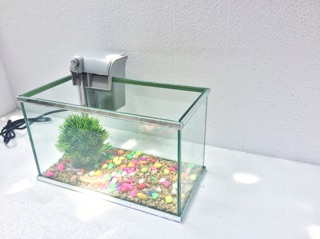 Set bể cá mini viền gương và lọc thác ( tặng phụ kiện)