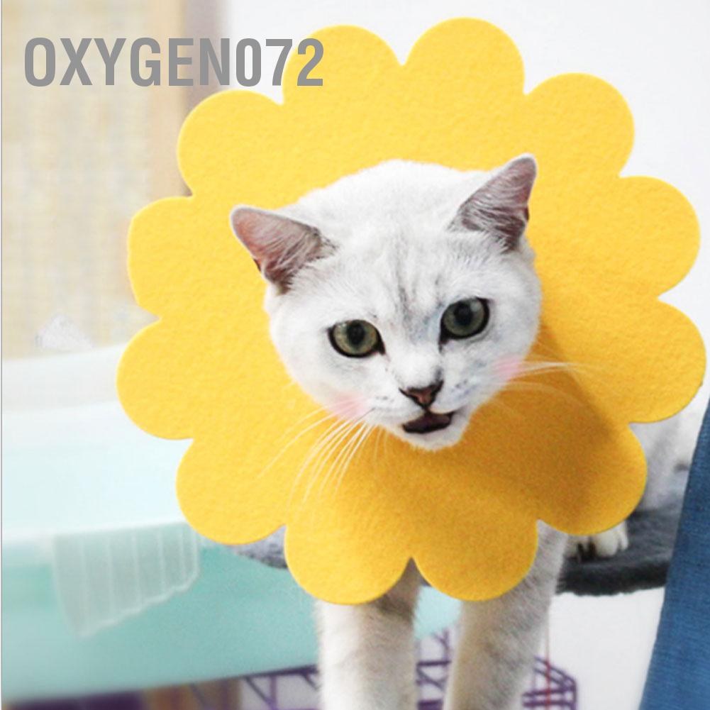 Oxygen072 5 cái Pet Cat Phục hồi Cổ áo Màu vàng Hoa mềm Hình nón Elizabeth Chống Cắn vết thương Bảo vệ Chữa lành Vết